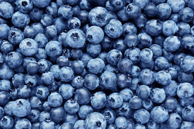 Ushqimet që zvogëlojnë shenjat e plakjes dhe mbrojnë nga stresi