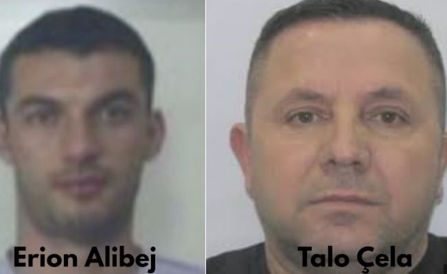 “Vetëm Suel Çela bën këto masakra!”/ Alibej: Për vrasjen e vëllait dyshimet janë për Franc dhe Hajdar Çopja, ata qanë në varrimin e Endritit! Përdorën Talo Çelën