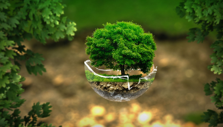 5 Qershori, Dita Ndërkombëtare e Mjedisit, thirrje për veprim në mbrojtje të natyrës