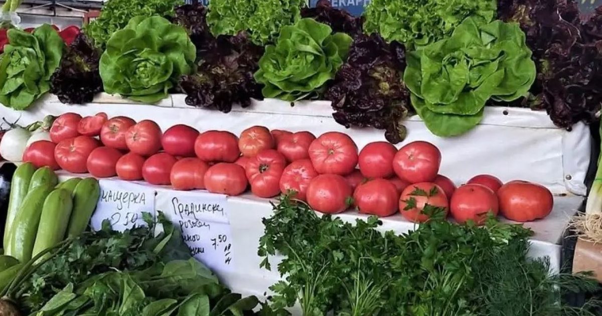 “70 lekë kilja e domates, 40 kastraveci”/ Revoltohen fermerët bullgarë: Produktet shqiptare po na “mbysin” tregun!