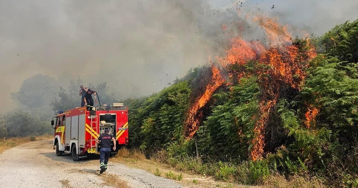 9 vatra zjarri në 24 orët e fundit! Nivel i lartë rreziku në: Lezhë, Durrës, Tiranë dhe Fier