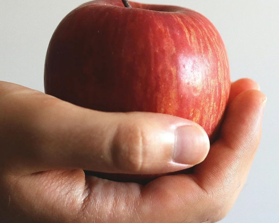 A është e vërtetë se një mollë në ditë mban larg mjekun? Ja çfarë thonë studimet