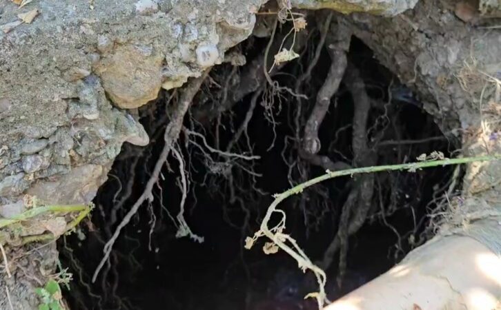 Alarm në Belsh/ Fundosje masive të tokës pranë disa banesave, krijohen gropa karstike me thellësi të frikshme