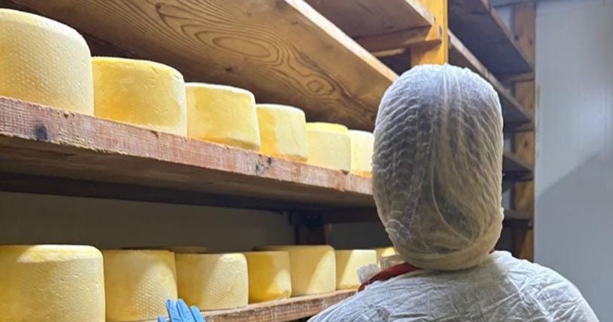 Bllokohet mbi 100 kg djathë në Shkodër/ AKU ‘fsheh’ shkakun