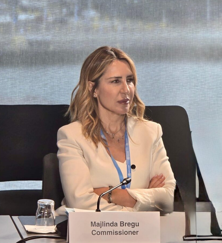 Bregu, pjesë e Komisionit të OBSH për Klimën dhe Shëndetin: Ballkani përballet me kosto të rënda nga ndryshimet klimatike