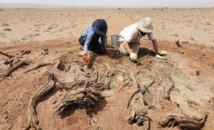 Cili ishte qëllimi i vërtetë i Murit të Gobit? Zbulimet e reja arkeologjike sfidojnë supozimet e vjetra.