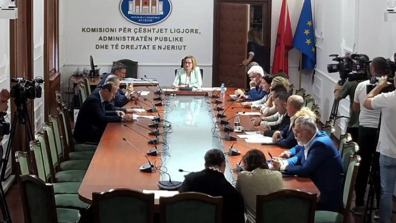 Debatet ‘përfshihen’ te ligjet/ Reagojnë deputetët, Dogjani: S’mund të miratojmë ligje false, njerëzit s’votuan të lirë