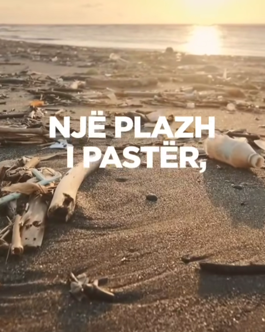 Dita Botërore e Mjedisit, Rama: Me aplikacionin TEA, mund të raportosh çdo problem mjedisor në plazhe, në pak sekonda