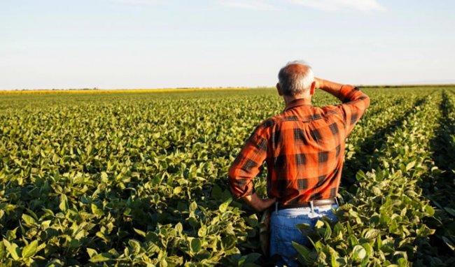 “Fermerët janë ambientuar me aplikimin online”, mbyllet skema kombëtare për bujqësinë, Ardita Kuçi: 69 mijë aplikime…