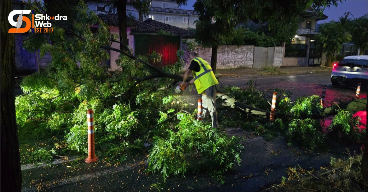 FOTO – Situata e motit në Shkodër, reshjet e dendura dhe stuhia rrëzojnë disa pemë në qytet…