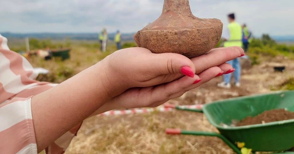 FOTOT- Zbulime arkeologjike në zonën e Divjakës