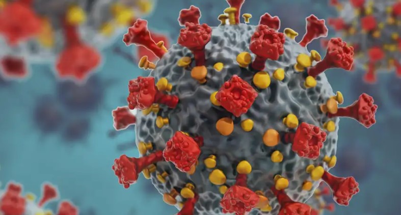 Gabimet gjatë pandemisë/ Bundestagu gjerman do formojë një komision hetimor