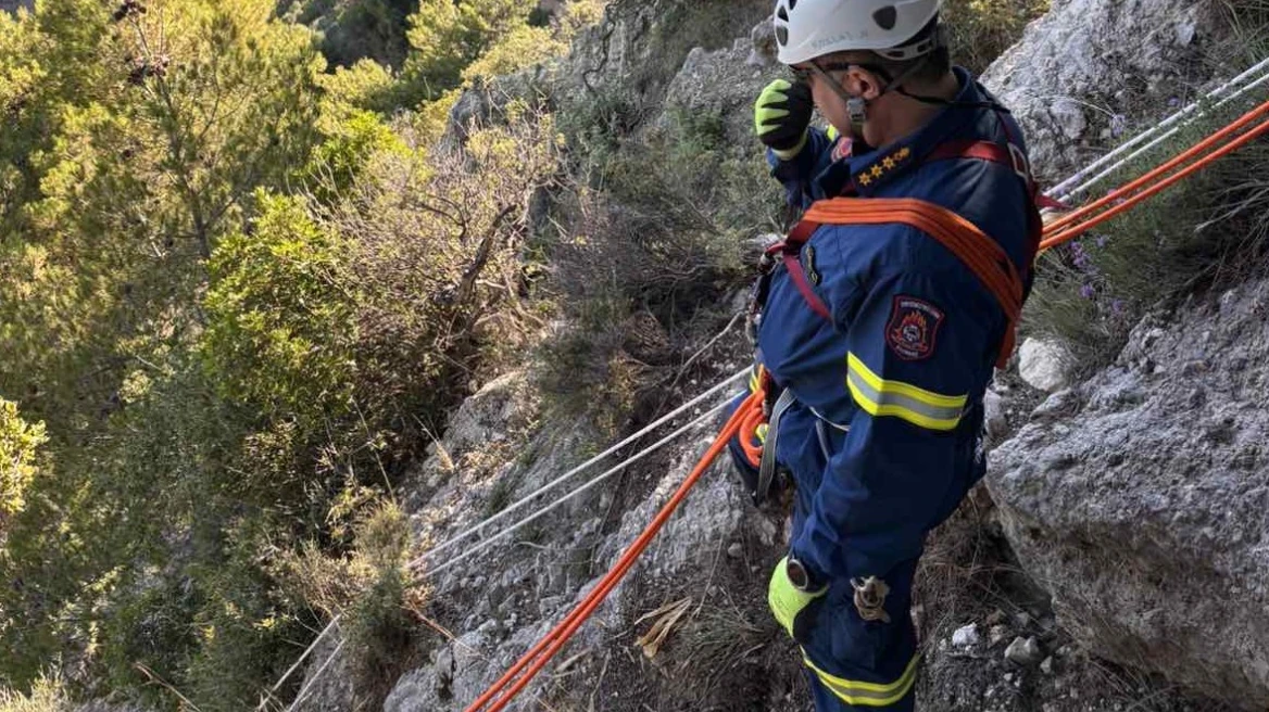 Greqi/ Bie nga lartësia në Korfuz, plagoset turisti