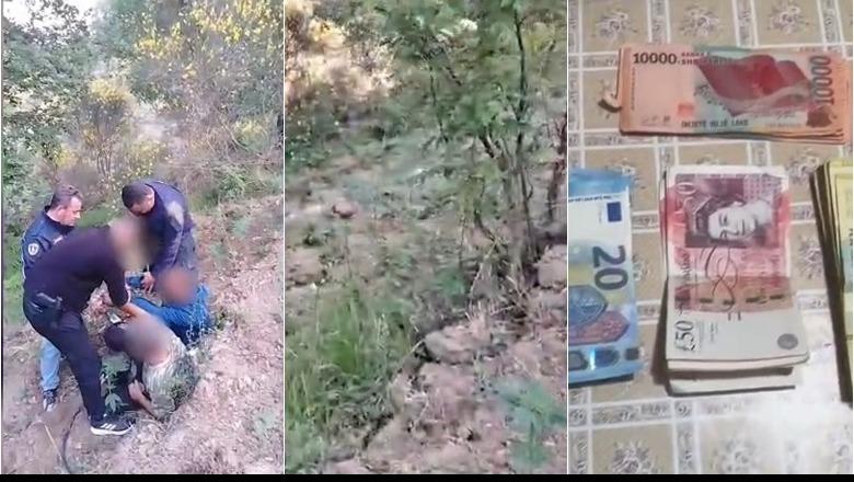 ‘Koordinata’ zbulon parcelën me 1881 fidanë në Mallakastër, arrestohen 2 persona! Nën akuzë kryeplaku dhe i dyshuari si financues