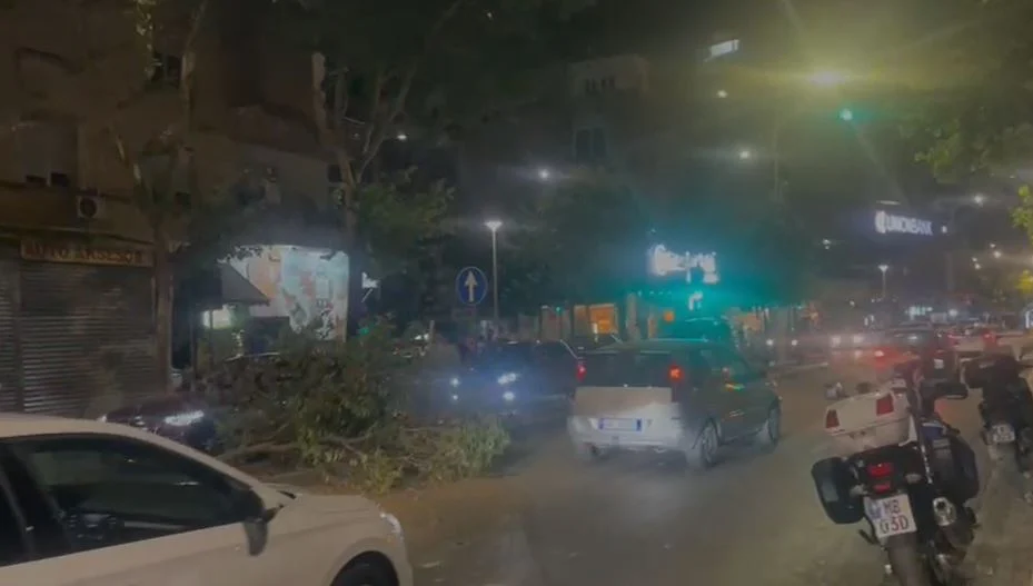 Makina merr përpara barrierat dhe thyen pemën në Tiranë! Largohet nga vendngjarja, por…i bie targa