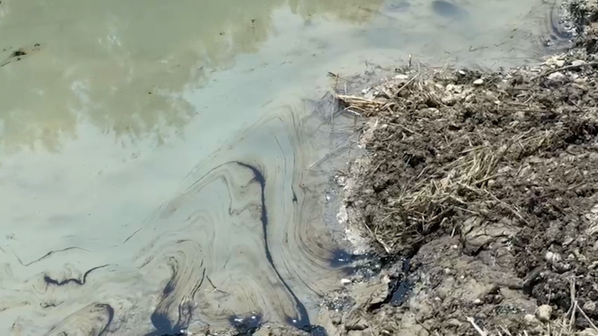Masakër mjedisore/ Llumi i naftës ‘helmon’ Vjosën!