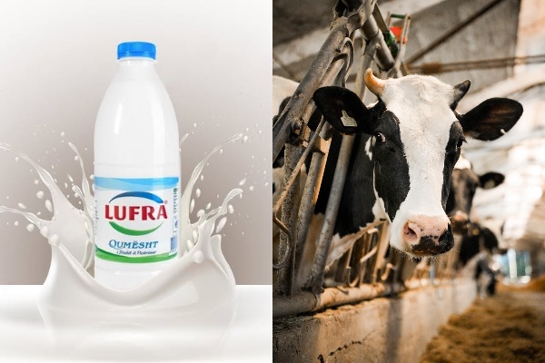 Mashtrimi/ Kompania “Lufra” reklamon lopën Lara, por s’ka fermë