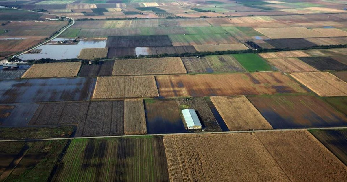 Mashtroi me fondet për bujqësinë/ BE-ja gjobit Greqinë me 400 milionë euro