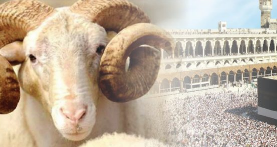 Më pak bagëti e më shumë sakrificë! Kurban Bajrami i këtij viti reflekton sfidat e një bote në krizë