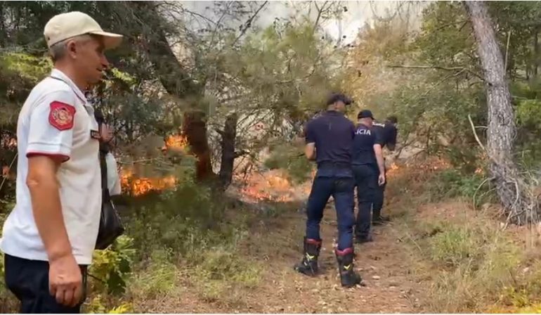 Ministria e Mbrojtjes: U shuan 8 vatra zjarri në vend, rrezik i lartë në Fier
