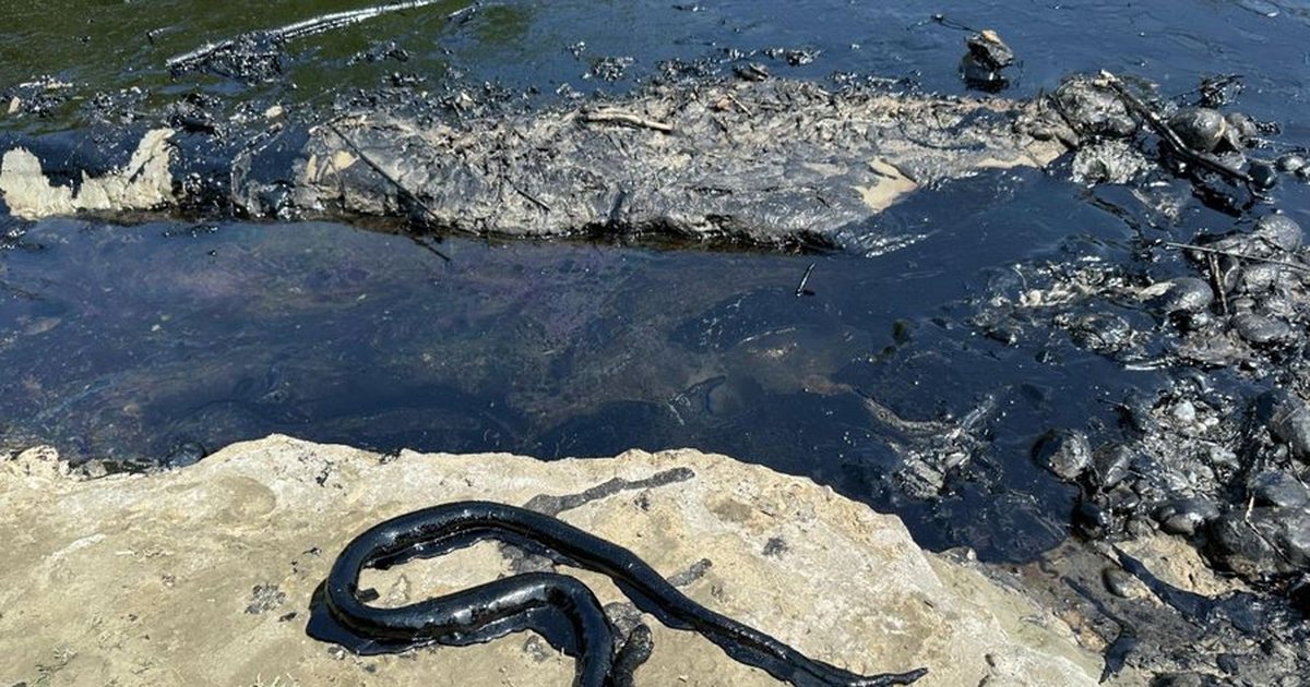 Nafta në lumin Vjosa! “Albpetrol” i vë fajin temperaturave të larta: Mbetje të prodhuara në 6 dekada, dalin nga i nxehti