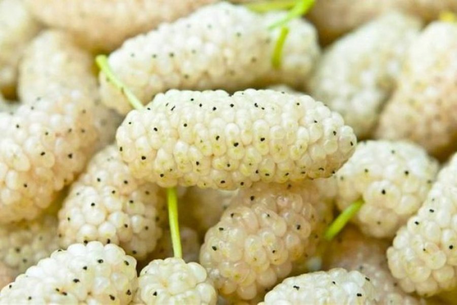 Nga tensioni i lartë tek ankthi, ja problemet shëndetësore që luftoni duke konsumuar mana të bardhë