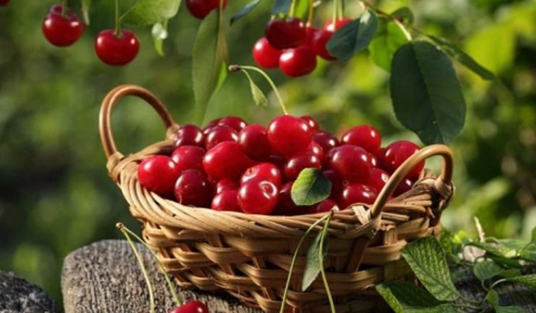 Njihuni me vlerat ushqyese të qershive