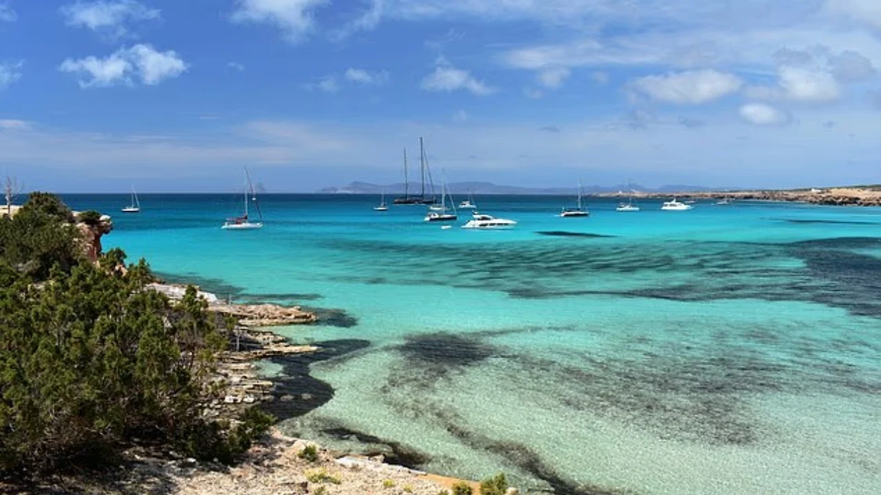 Pamje horror në plazhin e njohur, dalin në breg 5 trupa të pajetë, me duar e këmbë të lidhura