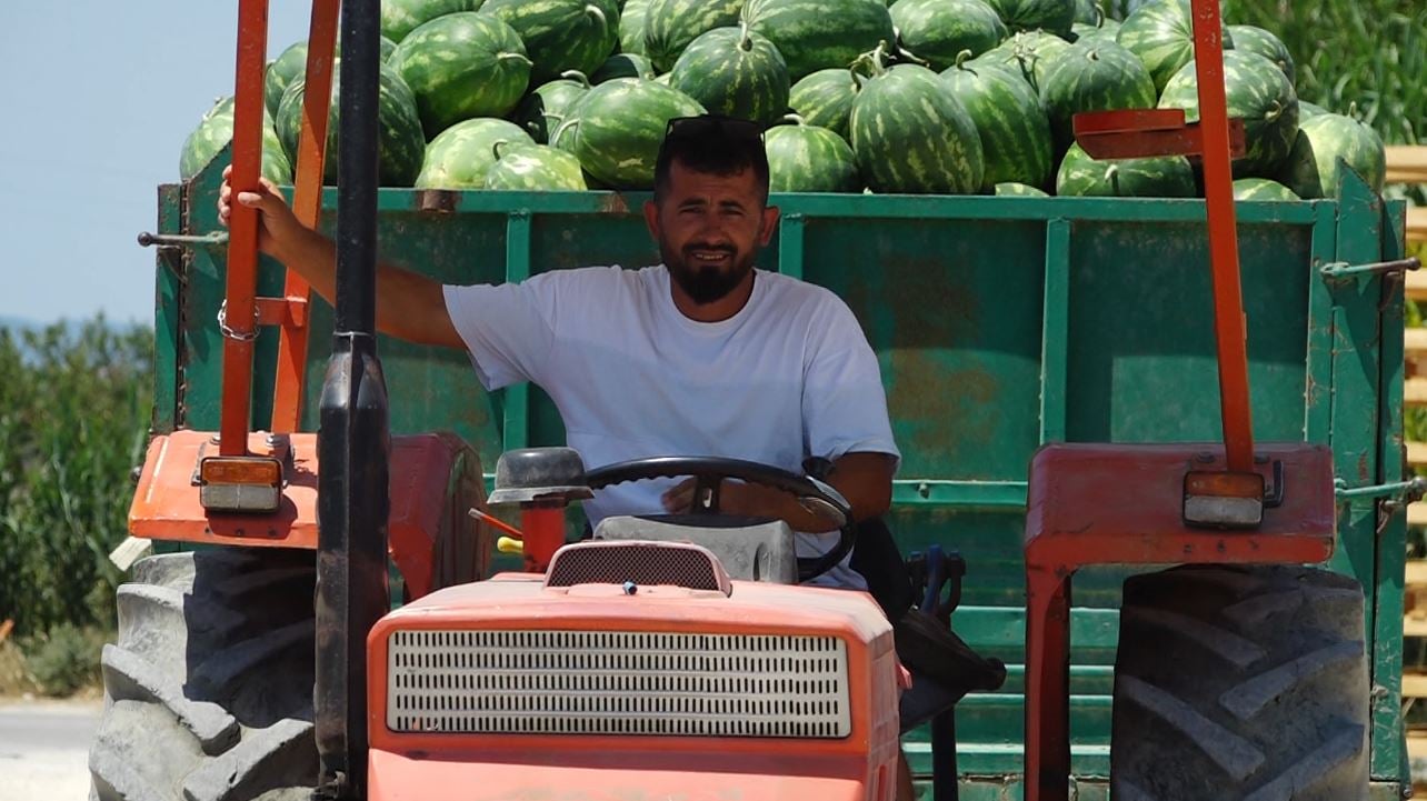 Përse shtrenjtohen frutat? Shumica e fitimit i mbetet tregtarëve, fermerët shesin shumë më lirë në fushë