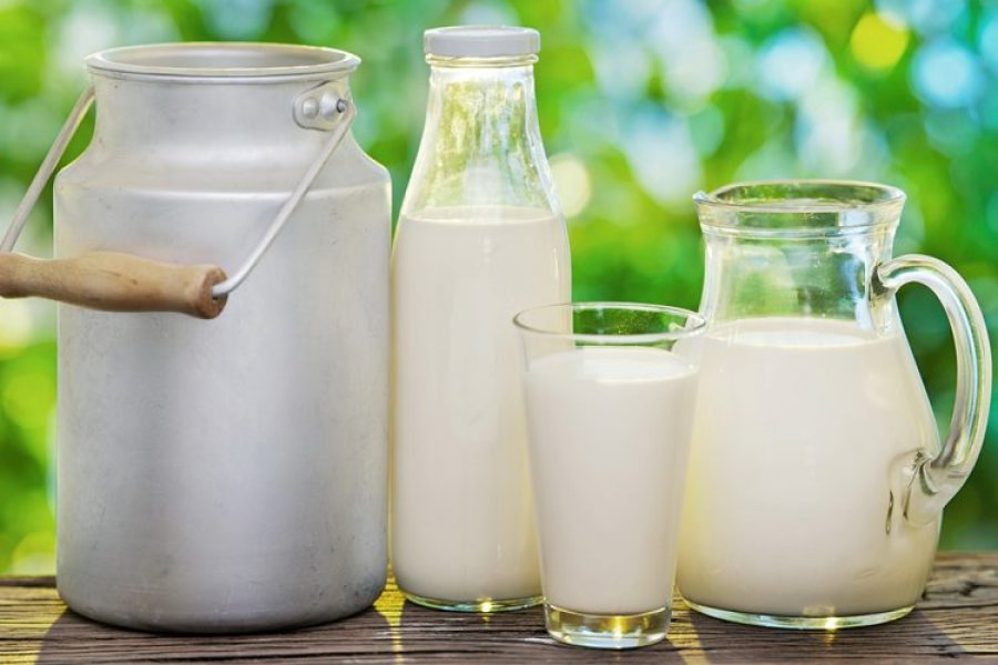 Përveç kalciumit dhe vitaminës D, qumështi ndihmon edhe zorrët, ja si shpjegohet