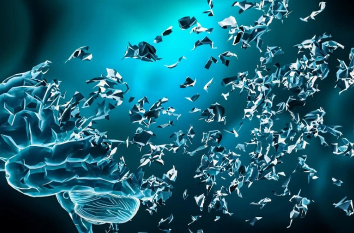 Pesë fazat e Alzheimerit!