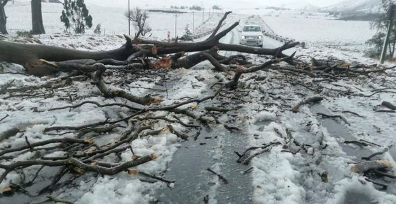 Reshje dëbore dhe shira të rrëmbyeshëm përfshijnë Afrikën e Jugut, 9 viktima