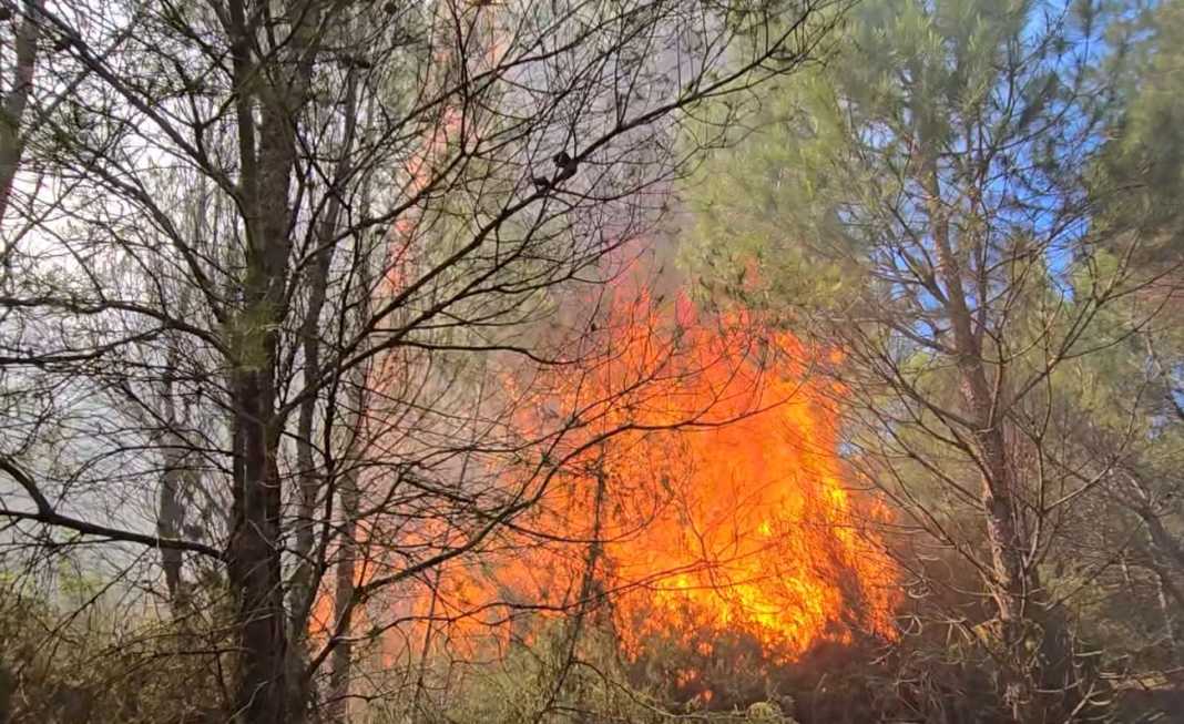 Rritja e temperaturave/ Në gatishmëri për zjarre të mundshme, shtohet kujdesi për këtë qytet