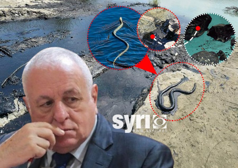 Shehu: Vjosa nuk ndotet veç nga nafta, por edhe nga ujërat e zeza të të gjithë qyteteve e fshatrave