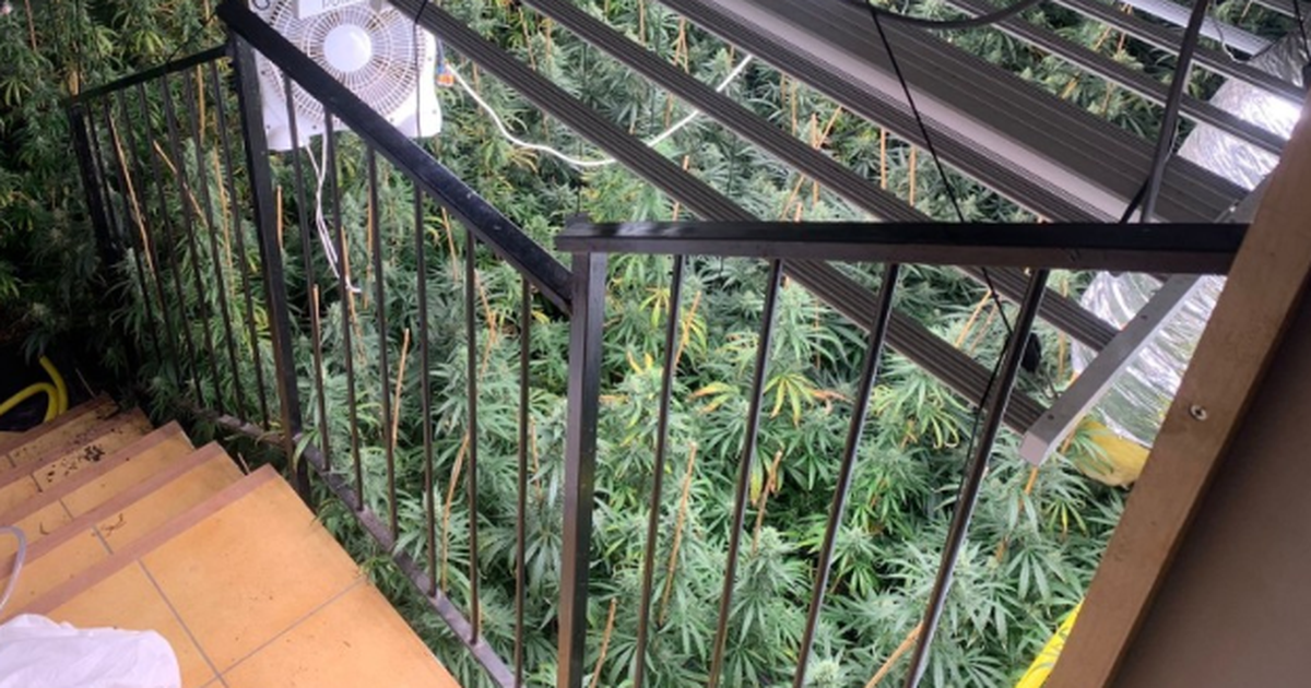 “Shtëpi bari” në Spanjë/ Arrestohet çifti shqiptar, era e drogës i tradhtoi