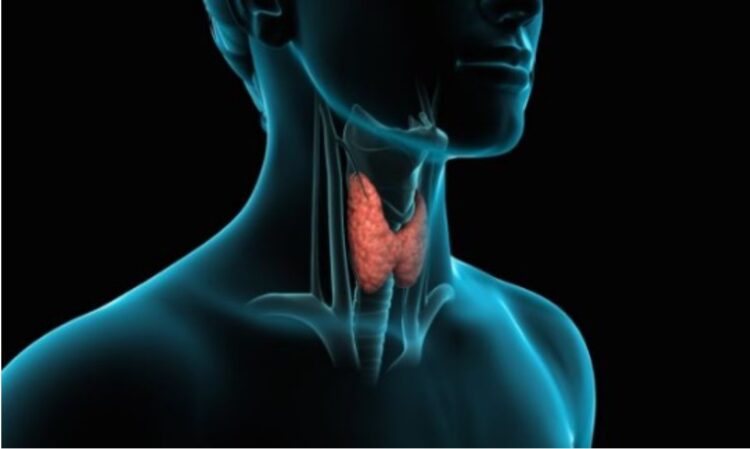 Si të kuptoni që keni probleme me tiroidet, pasojat që sjellin në shëndet