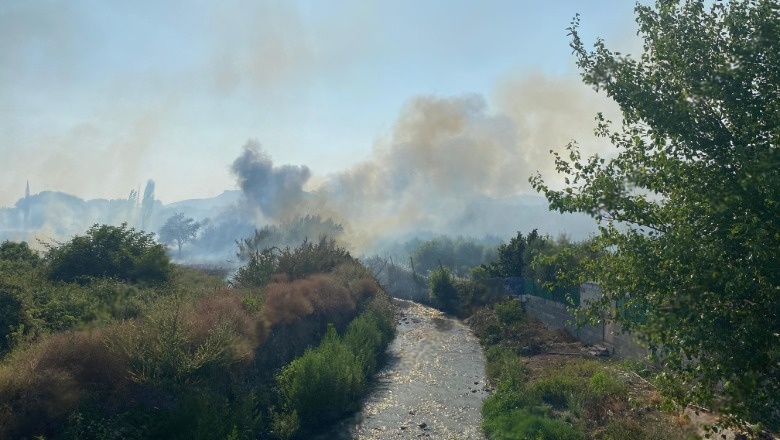 Situatë alarmante në Elbasan/ Zjarr i madh në afërsi të varrezave, flakët po i afrohen dhe banesave!