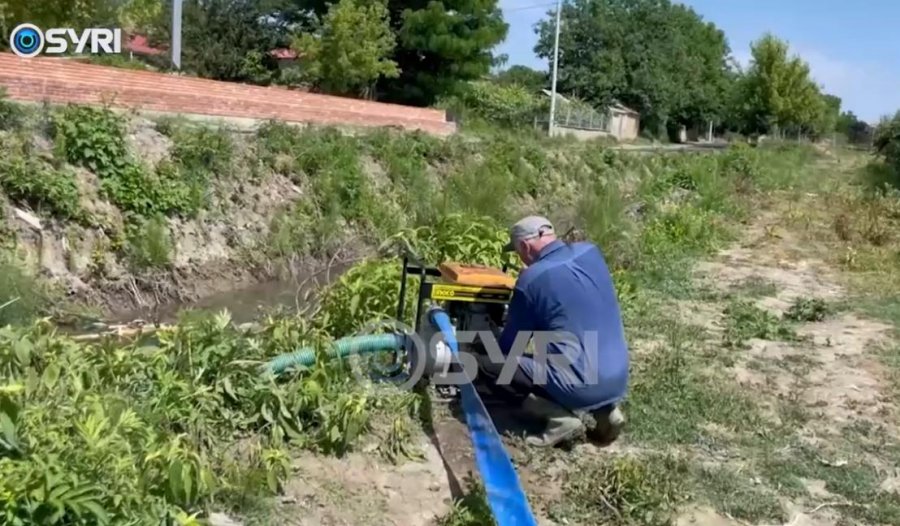 SYRI TV/ Shqipëria pa bujqësi dhe industri! Ekonomia e vendit mbahet nga ‘shërbimet’