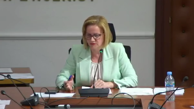 Tensione në Komisionin e Ligjeve, Alibeaj dhe Dogjani debat me Bushkën (Video)