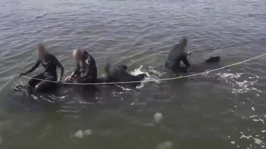 Ukraina kryen një tjetër mision në Rusi, dronët nën ujorë sulmojnë Urën e Krimesë me 1 100 ton eksploziv