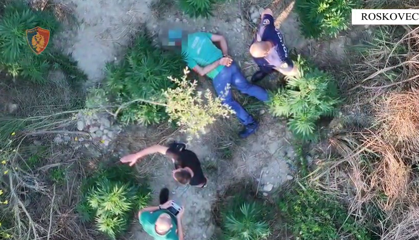 VIDEO / Droni kap mat 59-vjeçarin në parcelën me kanabis