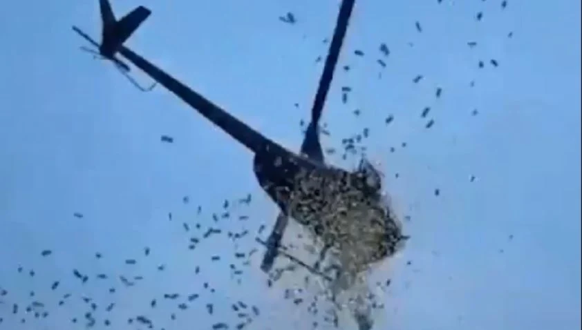 VIDEO – ‘Paratë derdhen lumë’ në Detroit, shoferët braktisin makinat dhe bllokojnë trafikun për të mbledhur kartëmonedhat