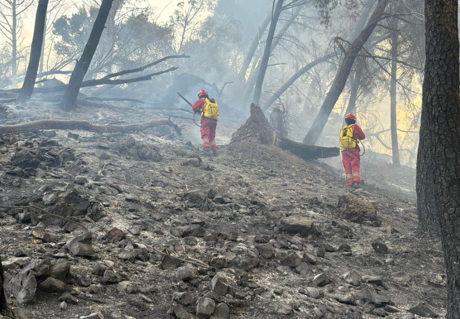 Vihet nën kontroll zjarri në malin e Krastës në Elbasan