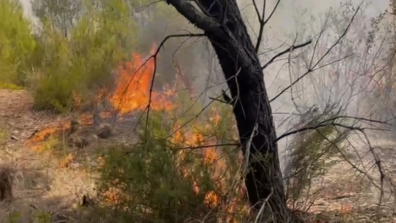 Vijon zjarri në pyllin e Darëzezës, Ministria e Mbrojtjes: Helikopteri i FA nis ndërhyrjen nga ajri