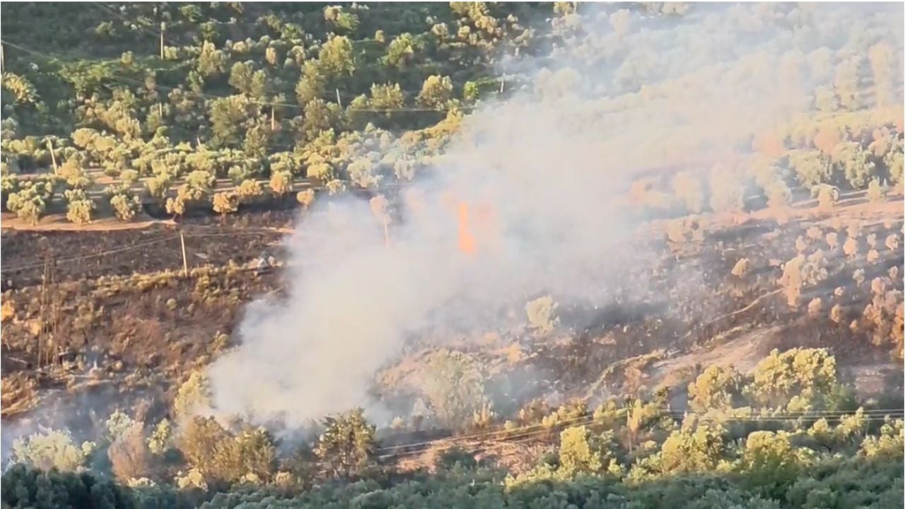 Zjarr edhe në fshatrat e Patosit, digjen disa ullishte, flakët i afrohen banesave