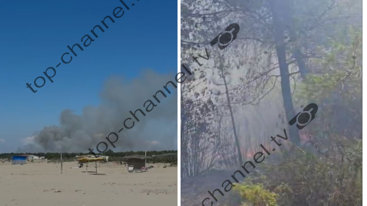 Zjarr i përmasave të mëdha përfshin pyllin me pisha të Darëzezës, flakët i afrohen lokaleve