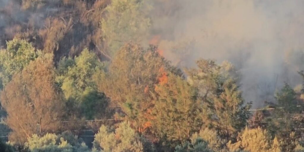 Zjarr në Patos, të favorizuara nga era e fort flakët u afrohen banesave