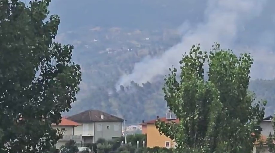 Zjarr në pyllin me pisha në Krastë