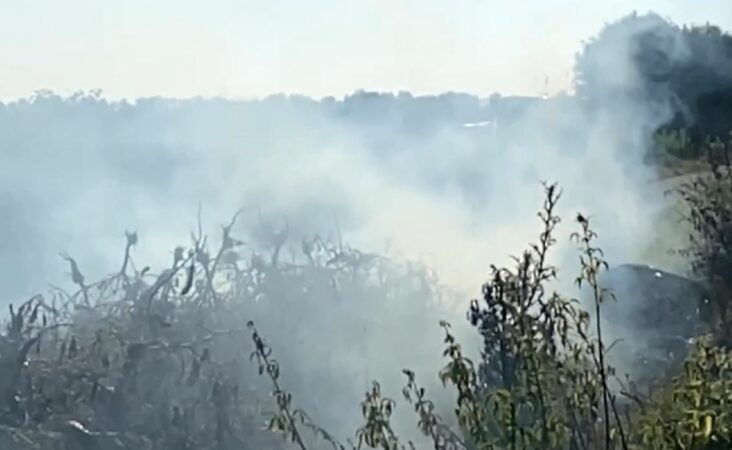 Zjarre të pakontrolluara në Lushnje/ Ekspertët: Vihen qëllimisht për…