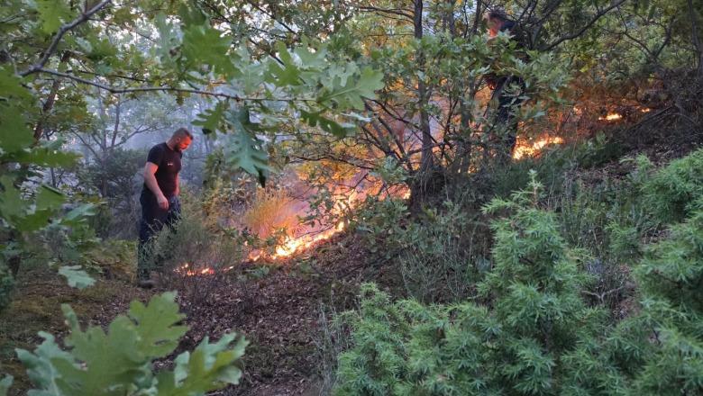 Zjarret në vend/ 18 vatra gjatë 24 orëve të fundit, digjen rreth 35.9 ha sipërfaqe